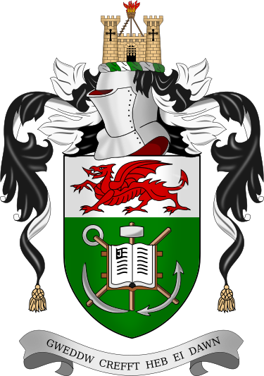 swansea university arms